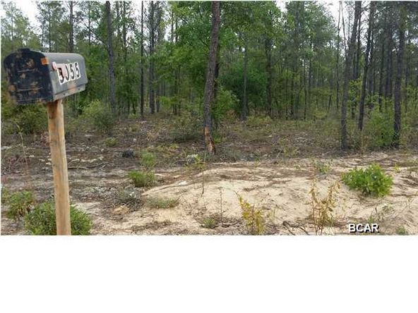 Amoshayes Trail: Amoshayes Trail, Chipley, FL 32428